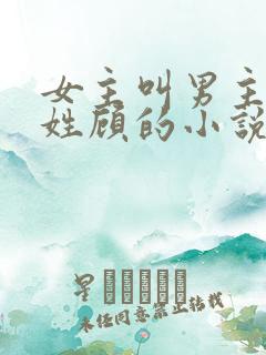 女主叫男主叔叔姓顾的小说