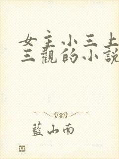女主小三上位无三观的小说
