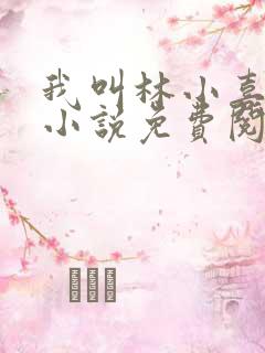 我叫林小喜全文小说免费阅读