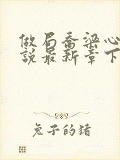 做局乔梁心仪小说最新章下载