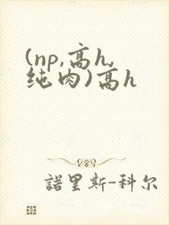 (np,高h,纯肉)高h