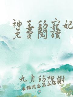 神王的宠妃全文免费阅读