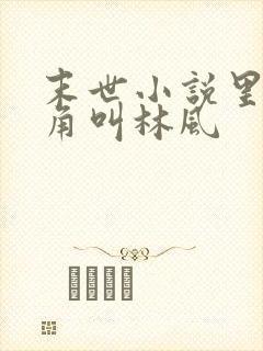 末世小说里面主角叫林风