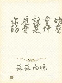 你应该会明白我的爱是什么歌名