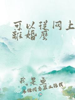 可以从网上起诉离婚么