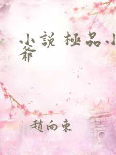 小说 极品小侯爷