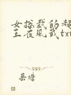 女总裁的超级兵王夜风武txt