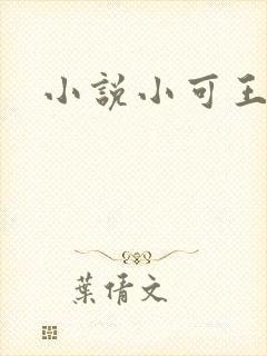 小说小可王强