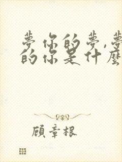 梦你的梦,梦你的你是什么歌