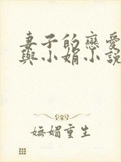 妻子的恋爱老刘与小娟小说在线阅读