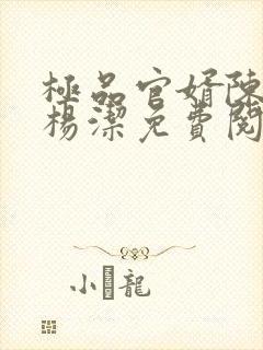 极品官婿陈阳与杨洁免费阅读