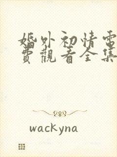 婚外初情电影免费观看全集