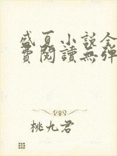 盛夏小说全文免费阅读无弹窗