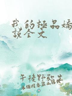 我的极品娇妻小说全文