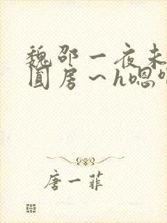 魏邵一夜未拔h圆房～h嗯啊小说