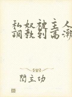 私奴被主人玩弄调教到高潮