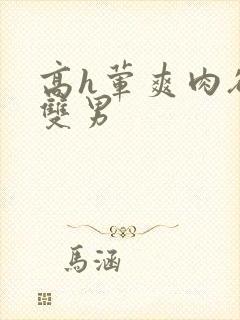 高h荤爽肉欲文双男