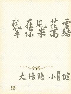 我在风花雪月里等你米高结局