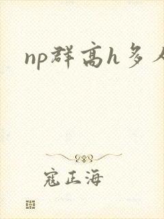 np群高h多人