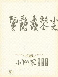 阮歌秦轶小说免费阅读全文最新