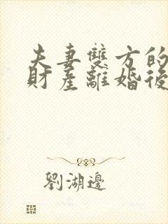 夫妻双方的公司财产离婚后怎么分