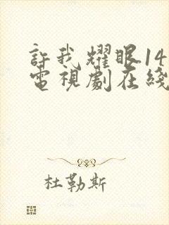 许我耀眼14集电视剧在线观看