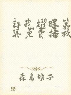 许我耀眼第23集免费播放