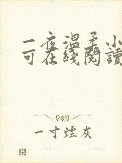 一夜温柔小说小可在线阅读