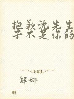 抱歉沈先生,孩子不是你的短剧资源