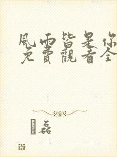 风雨皆是你短剧免费观看全集高清版