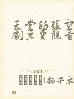 天堂的张望电视剧免费观看全集