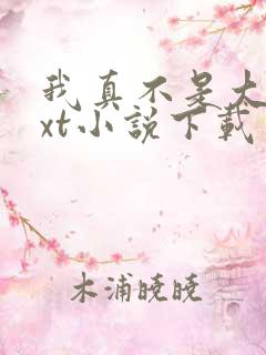 我真不是大佬txt小说下载