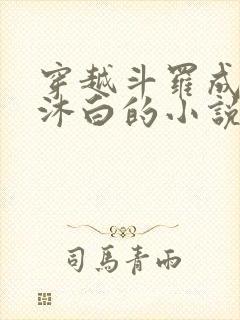 穿越斗罗成为戴沐白的小说