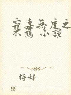 宠妻无度之嫡妃不羁 小说