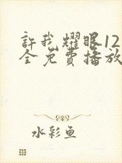 许我耀眼12集全免费播放