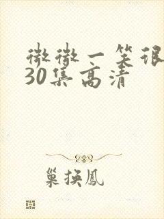 微微一笑很倾城30集高清