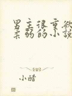 男主很重欲女主柔弱的小说