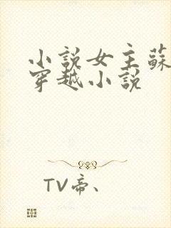 小说女主苏时锦穿越小说