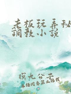 老板玩弄秘书h调教小说