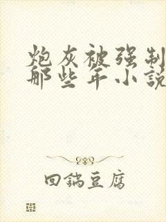 炮灰被强制爱的那些年小说