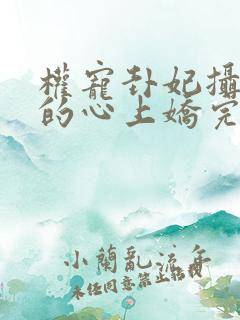 权宠卦妃摄政王的心上娇完整版