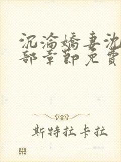 沉沦娇妻沈丹全部章节免费阅读