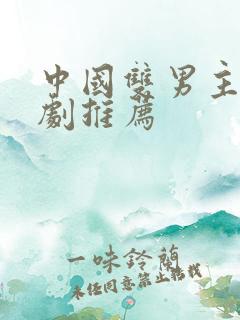 中国双男主电视剧推荐