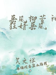 岳风柳萱 神级狂婿岳风