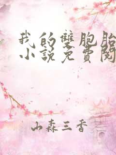 我的双胞胎老婆小说免费阅读