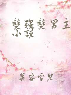 双强双男主现代小说