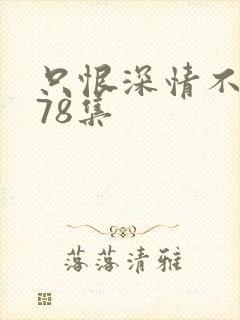 只恨深情不识鸢78集