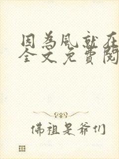 因为风就在那里全文免费阅读无弹窗