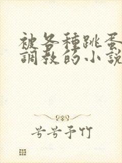 被各种跳蛋露出调教的小说