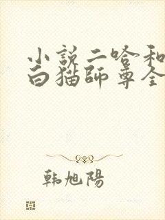 小说二哈和他的白猫师尊全文